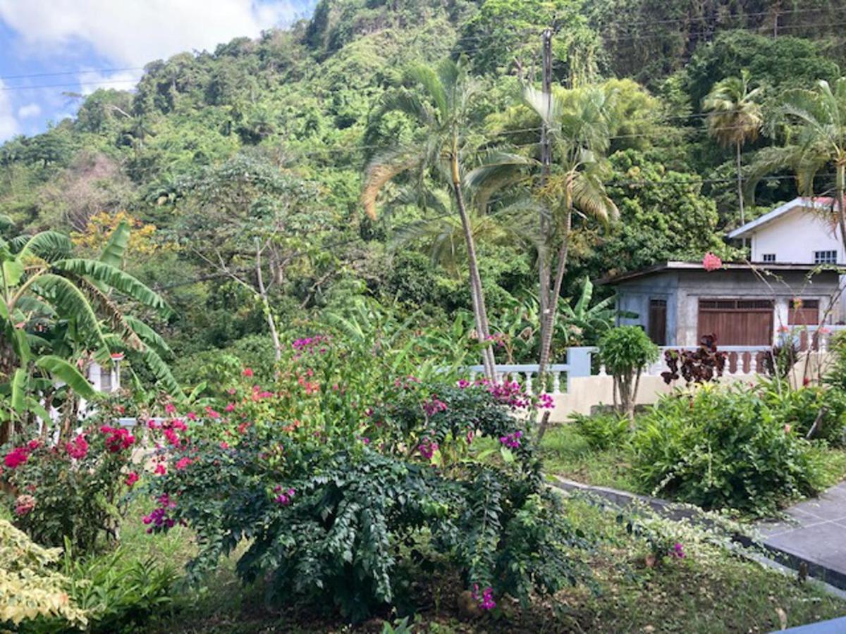 Stunning 2-Bed Apartment In Grand Roy Grenada Mount Nesbit Exteriér fotografie